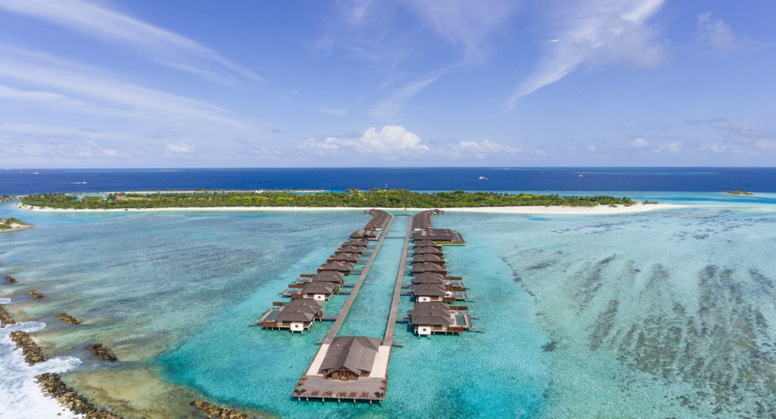 Maldives Honeymoon